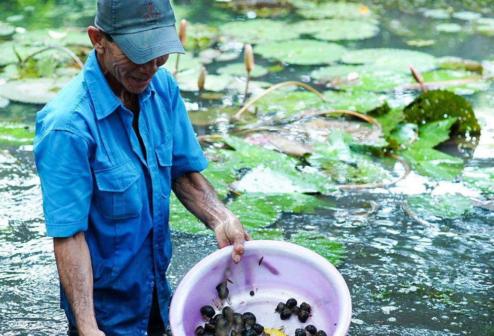 Cần Thơ bình dị, tuyệt đẹp trong phân cảnh của Hai Phượng-11