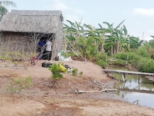 Bắc Giang: Thanh niên tâm thần bị hàng xóm chém 7 nhát vì làm đổ tường gạch và gãy cây cối trong vườn-4