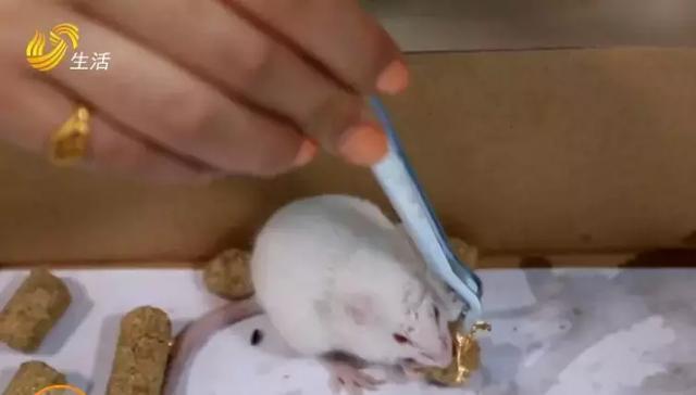 Sự thật về những loại thực phẩm bọc vàng nhiều người tò mò muốn ăn-2