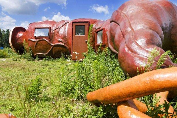 Khách sạn trông như khúc ruột khiến du khách vừa kinh vừa thích-3