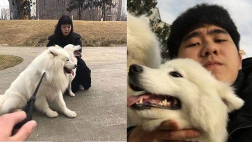 Hẹn hò trên mạng, chàng trai ngậm ngùi vì thất bại nhưng chó cưng lại nên duyên-3