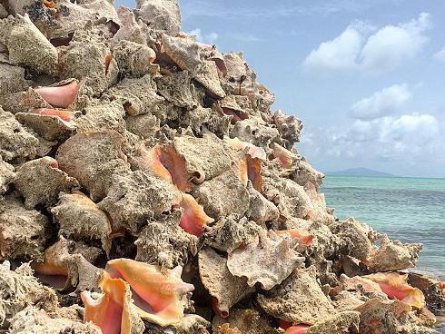 Bạn có muốn dành cả thanh xuân sống trên hòn đảo này để nhận lương lên tới 4 tỷ/năm?-6