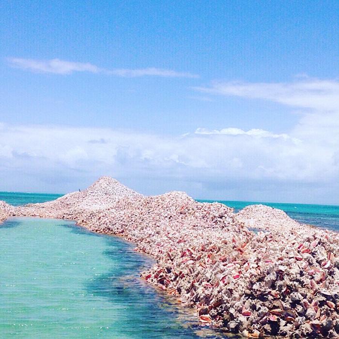 Không ai dám đi chân trần trên hòn đảo này và đây là lý do-6