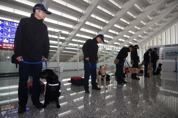 Mang 2 chiếc bánh tét tới Đài Loan, du khách Việt bị phạt 150 triệu đồng-2