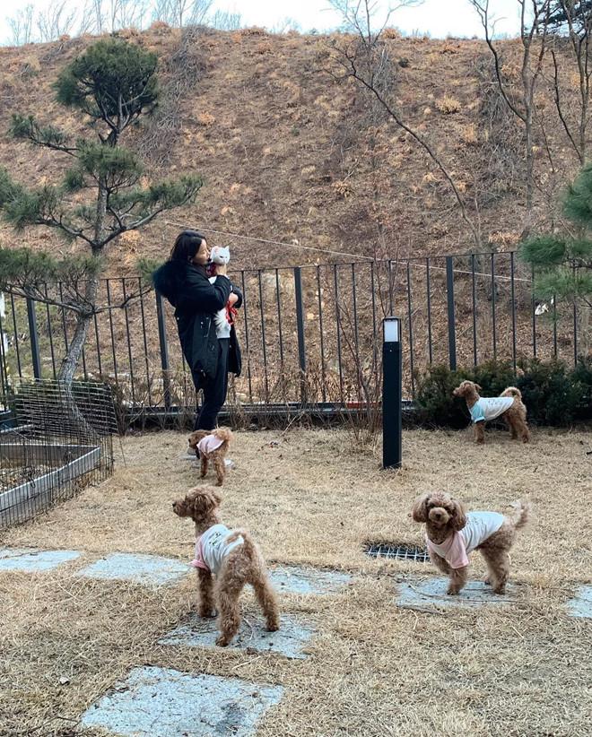 Hôn nhân không con cái của sao nữ U50 và chồng ca sĩ kém 17 tuổi-5