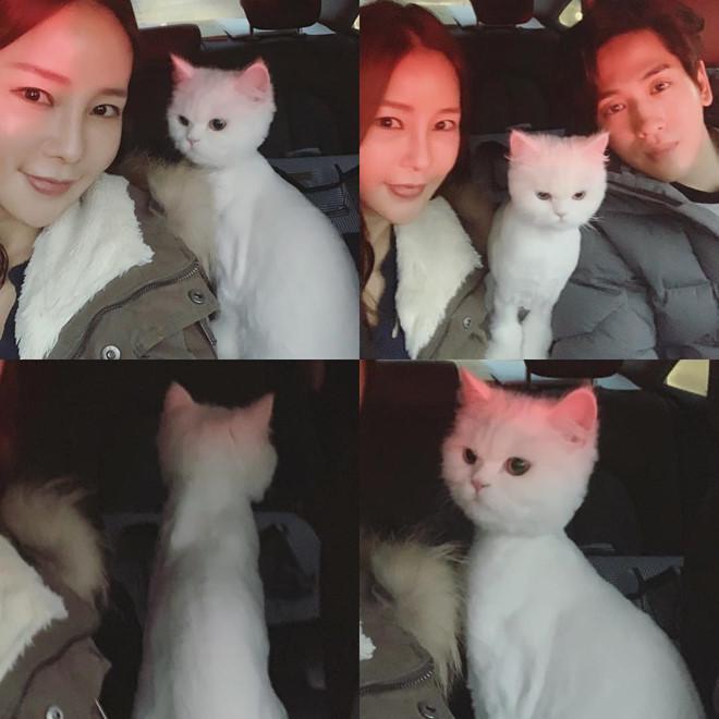 Hôn nhân không con cái của sao nữ U50 và chồng ca sĩ kém 17 tuổi-6