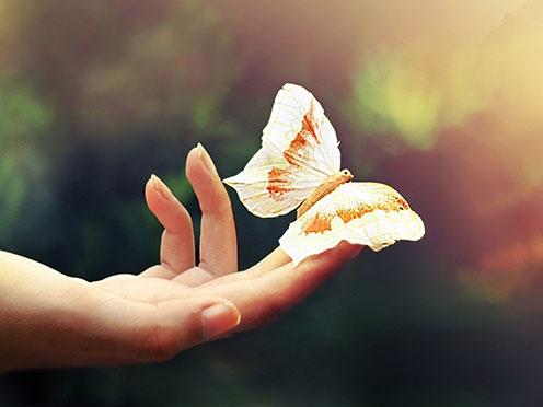 Vô tình gặp 5 dấu hiệu may mắn này thì xin chúc mừng, bạn sắp PHÁT TÀI TO, tiền tự chạy vào túi