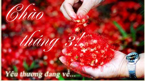 Xem tử vi tháng 3/2019 của 12 con giáp chuẩn xác nhất: Tuổi Thân đại phát tài, Mão bấp bênh...-3