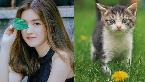 Tháng 3 vừa đến, 3 con giáp này lập tức có TIỀN CHẠY VÀO TÚI, tài vận lên hương, tha hồ ăn lộc-2