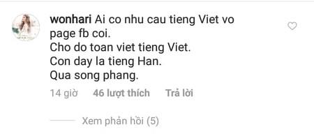 Chỉ vì một status vui, Hari Won bị chỉ trích dùng tiếng Hàn, khinh người Việt-4