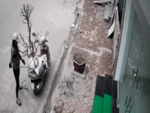 Cặp vợ chồng đi ô tô trộm đào lúc nửa đêm: 1 ngày sau, người vợ mang cây đến trồng lại vị trí cũ