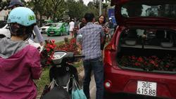 Hà Nội, dân mang cả ô tô 'hôi' hoa sau thượng đỉnh Mỹ - Triều