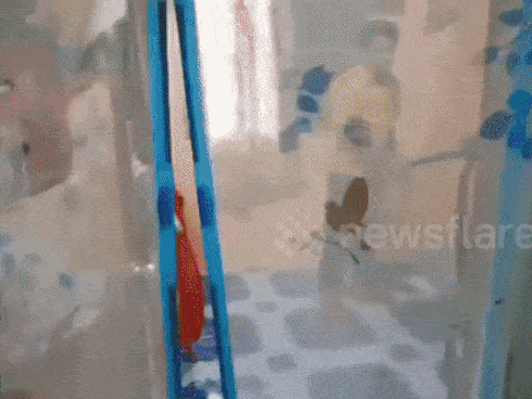 Ngủ cả đêm mà không biết tử thần nằm dưới đệm-1