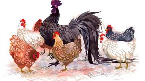 3 con giáp CÓ DUYÊN VỚI TIỀN BẠC, giàu có hết phần thiên hạ, TÀI VẬN SÁNG CHÓI năm 2019-1