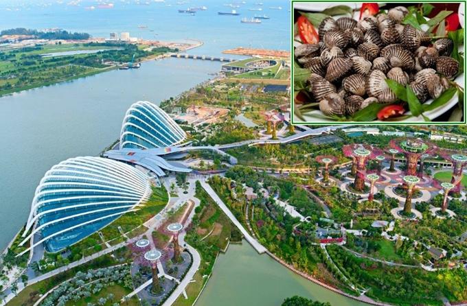 4 công trình đồ ăn thú vị ở Singapore-4