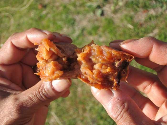 Loại quả chỉ có thể ăn sau khi đã thối rữa nhưng mang lại lợi ích thần kỳ-5