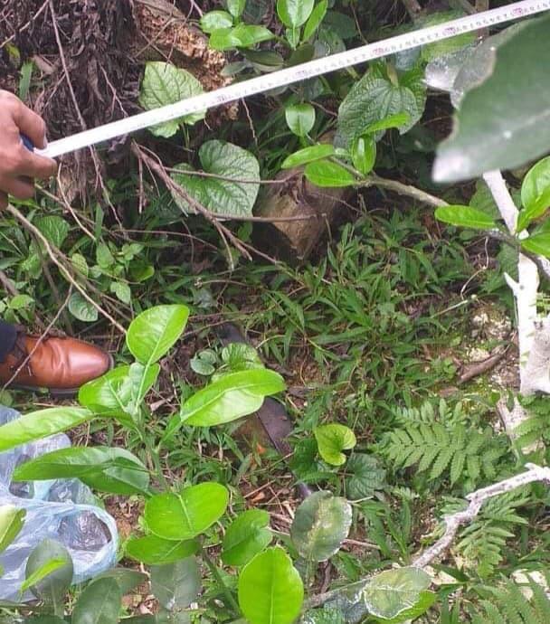 Bắc Giang: Thanh niên tâm thần bị hàng xóm chém 7 nhát vì làm đổ tường gạch và gãy cây cối trong vườn-3