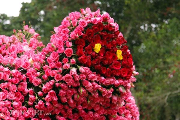 Ngắm chú lợn khổng lồ kết từ hơn vạn bông hồng tươi ở Ba Vì-7