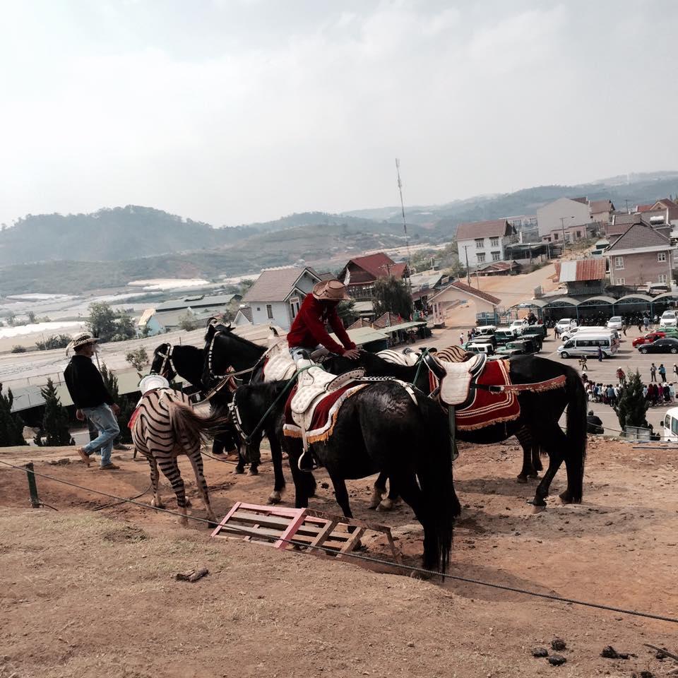 Du lịch Đà Lạt chỉ với 2,5 triệu anh chàng 9X khiến dân mạng trầm trồ không tin nổi-8