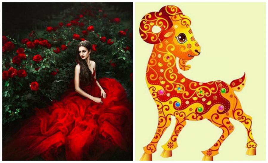 30 ngày tới: Vận may kéo đến tới tấp, 4 con giáp bỗng dưng giàu lên điên đảo, danh tiếng nổi như cồn-3