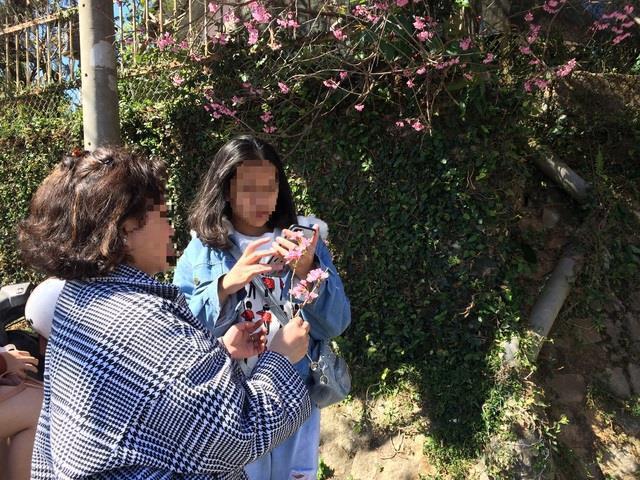 Những hành vi từ xấu xí đến phạm pháp của người trẻ khi du lịch-2