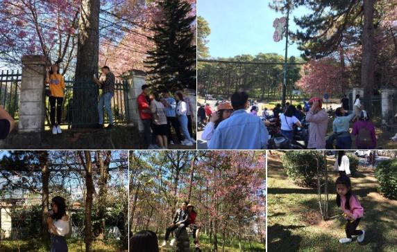 Những hành vi từ xấu xí đến phạm pháp của người trẻ khi du lịch-3