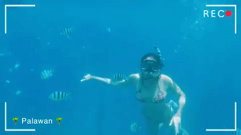 Võ Hoàng Yến kêu cứu vì đi bơi mà bị cá cắn-1