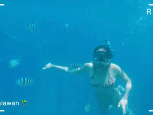 Võ Hoàng Yến kêu cứu vì 'đi bơi mà bị cá cắn'