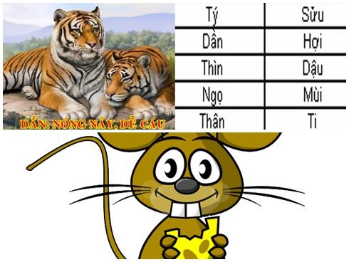 Tử vi tuần mới của 12 con giáp từ 18/3/2019 - 24/3/2019: Thìn phải lưu ý sức khoẻ, Tỵ cẩn thận có kẻ thứ ba-5