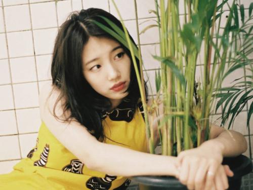 Tử vi tuần mới của 12 con giáp từ 18/3/2019 - 24/3/2019: Thìn phải lưu ý sức khoẻ, Tỵ cẩn thận có kẻ thứ ba