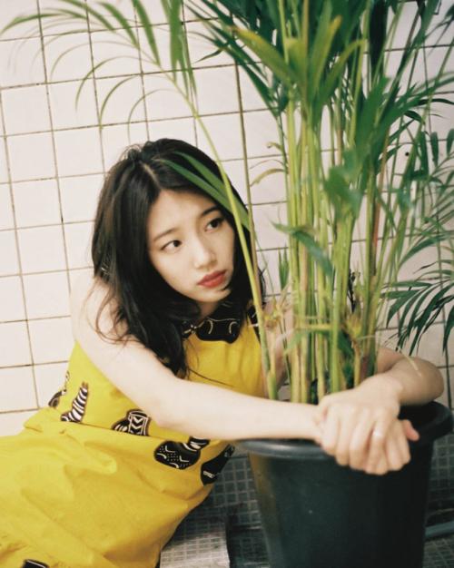 Tử vi tuần mới của 12 con giáp từ 18/3/2019 - 24/3/2019: Thìn phải lưu ý sức khoẻ, Tỵ cẩn thận có kẻ thứ ba-1