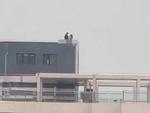 Lại thêm cặp đôi vô tư diễn cảnh nóng trên sân thượng nhà cao tầng khiến người xem thốt lên đã phản cảm còn nguy hiểm