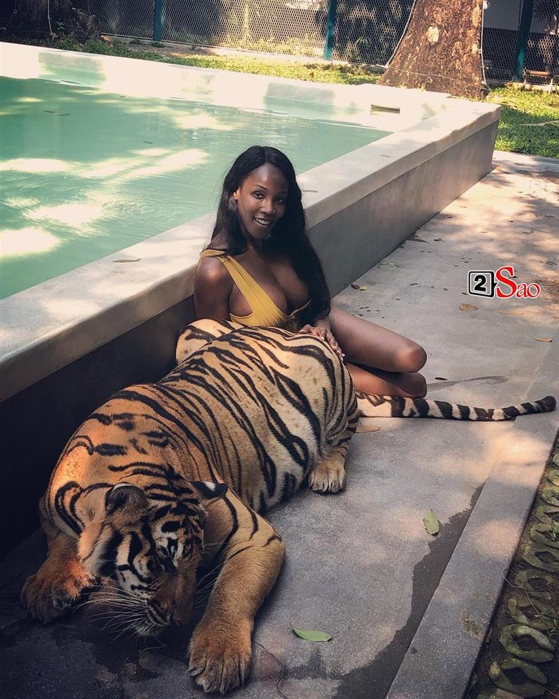 Diện bikini vào chuồng hổ uốn éo chụp hình, Hoa hậu Chuyển giới 2019 giật mình thon thót vì sợ bị ăn thịt-6