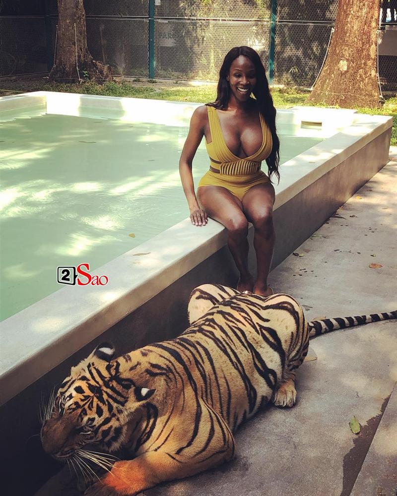 Diện bikini vào chuồng hổ uốn éo chụp hình, Hoa hậu Chuyển giới 2019 giật mình thon thót vì sợ bị ăn thịt-4