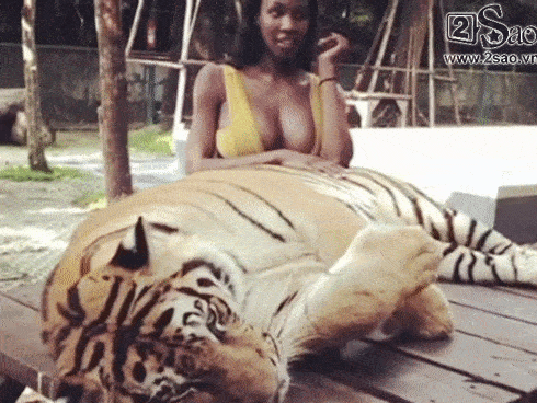 Hoa hậu Chuyển giới Quốc tế 2019 dằn mặt khán giả Việt dám tung hô nhan sắc Hương Giang dưới ảnh của mình-7