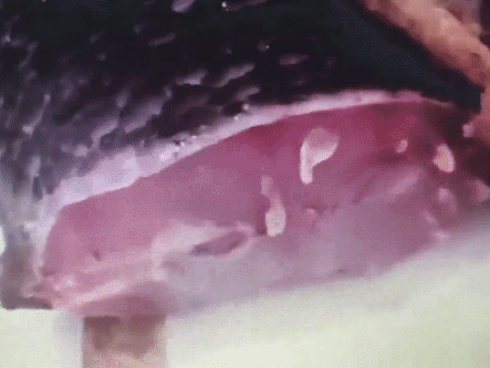 Họp báo sán lợn ở Bắc Ninh: Không có chuyện lãnh đạo can thiệp nhập thực phẩm-3