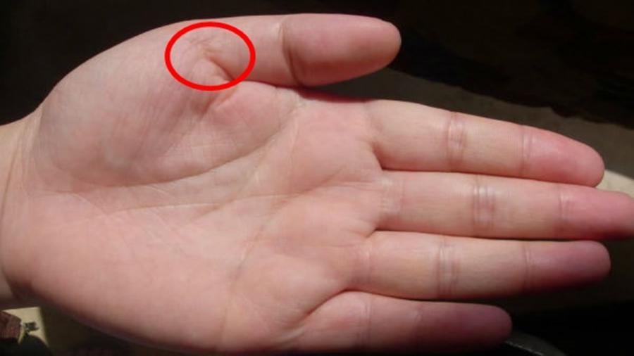 6 dấu hiệu TƯỚNG HỌC chỉ xuất hiện ở bàn tay người phụ nữ mang MỆNH PHƯỢNG HOÀNG, không giàu sang cũng phú quý-2