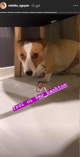 Minh Tú phát điên với kẻ đã phá tan đôi sneaker tiền triệu mới đi được vài lần-4