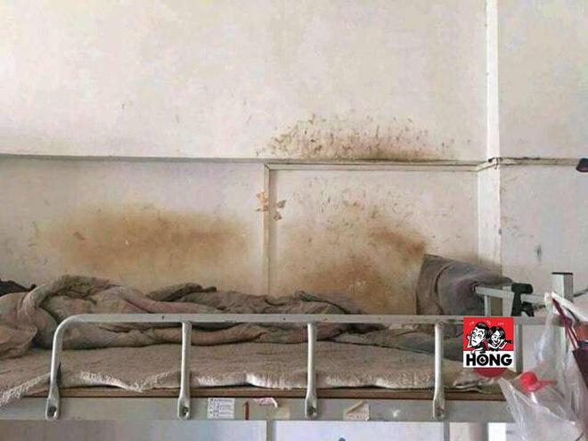 Xuất hiện thánh ở bẩn: 4 năm không chịu dọn phòng khiến người khác nhìn thôi đã không muốn bước vào-3