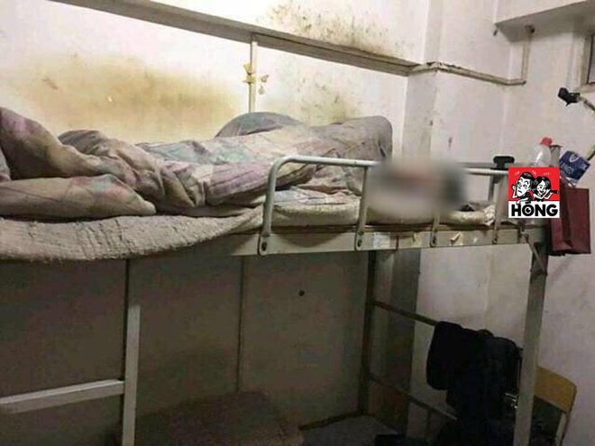 Xuất hiện thánh ở bẩn: 4 năm không chịu dọn phòng khiến người khác nhìn thôi đã không muốn bước vào-1