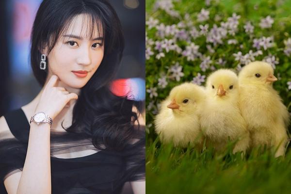 3 con giáp may mắn hơn người, chỉ cần ra ngõ cũng nhặt được tiền-3