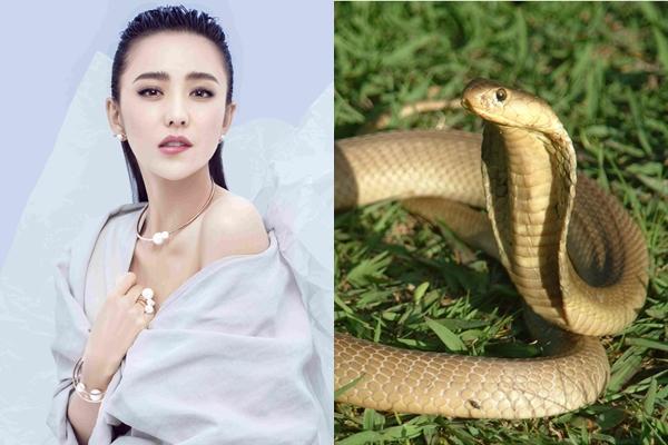 4 con giáp có lộc trời ban, dễ dàng trở thành TỶ PHÚ trong tháng 4/2019-1