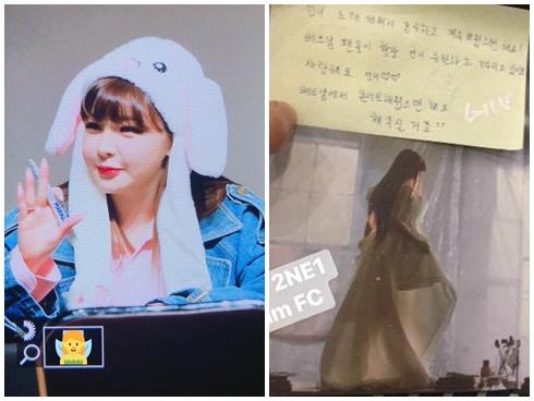 Fan phẫn nộ vì Park Bom bị gọi là búp bê tình dục-3