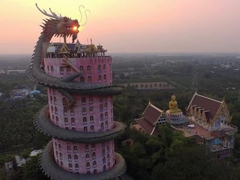 Loại cây khổng lồ ở châu Phi, người dân có thể sống bên trong và hái quả để ăn-5