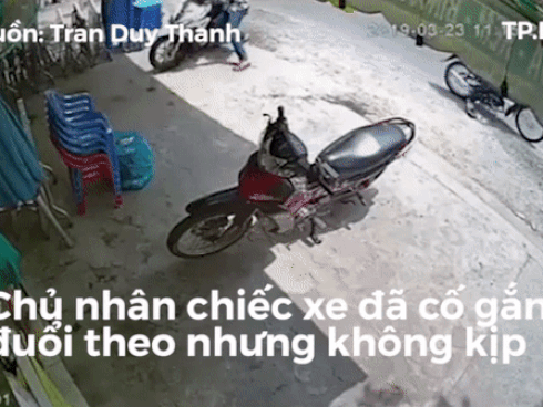 CLIP HY HỮU: Giữa thủ đô Hà Nội, cả nhà đang ngủ bị trâu vào húc từng người rồi lại ra đường... chơi tiếp-3