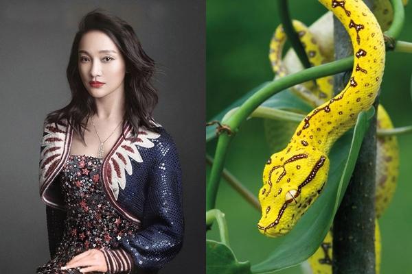 5 ngày tới: 3 con giáp được cát tinh soi chiếu, tiền bạc tiêu xả láng, giàu hết phần thiên hạ-2