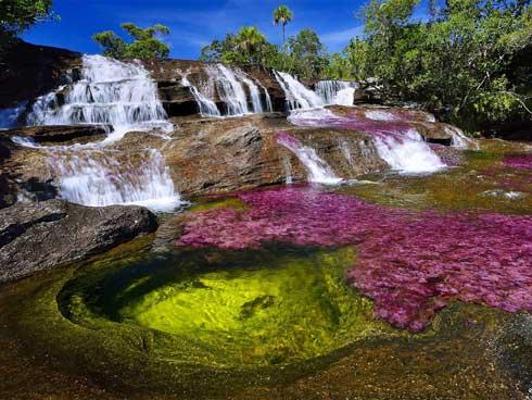 Dòng sông đẹp nhất thế giới 'chảy xuống từ thiên đường'