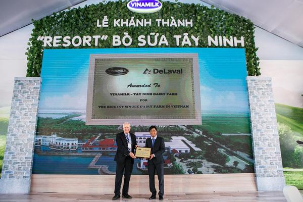 Resort đặc biệt của bò sữa ở Tây Ninh-2