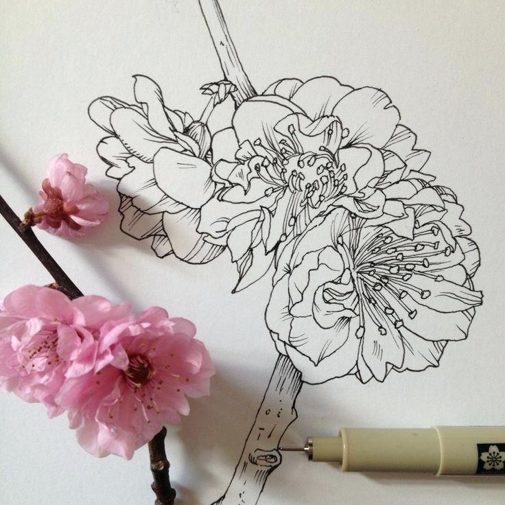 Tử vi thứ Năm ngày 28/3/2019 của 12 con giáp: Mão hãy chủ động khi yêu, Ngọ dần thăng tiến sự nghiệp-1