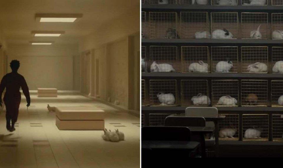 Phim rùng rợn Us được khen nức lời, nhưng đây là những điểm đáng chê-2